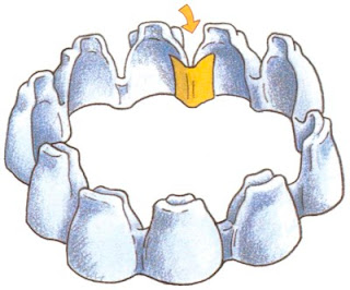 princess-crown2.jpg